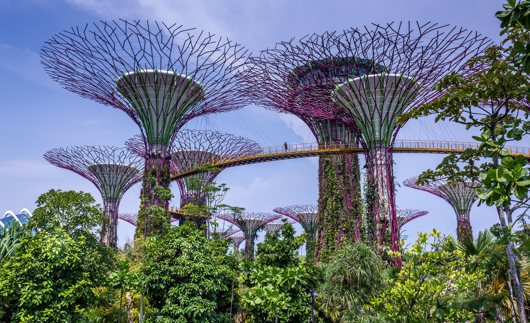 Singapur Gardens by the Bay "Supertrees"