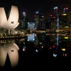 Singapur - Marina Bay - Financial District - ARTSCIENCE MUSEUM