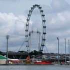 Singapur Riesenrad