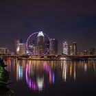 Singapur: Singapore Flyer am Abend