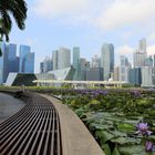 Singapur..Beton vereint mit Natur..