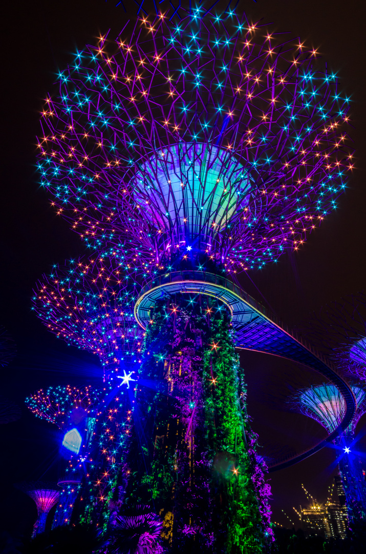 Singapur@Night - Supertree