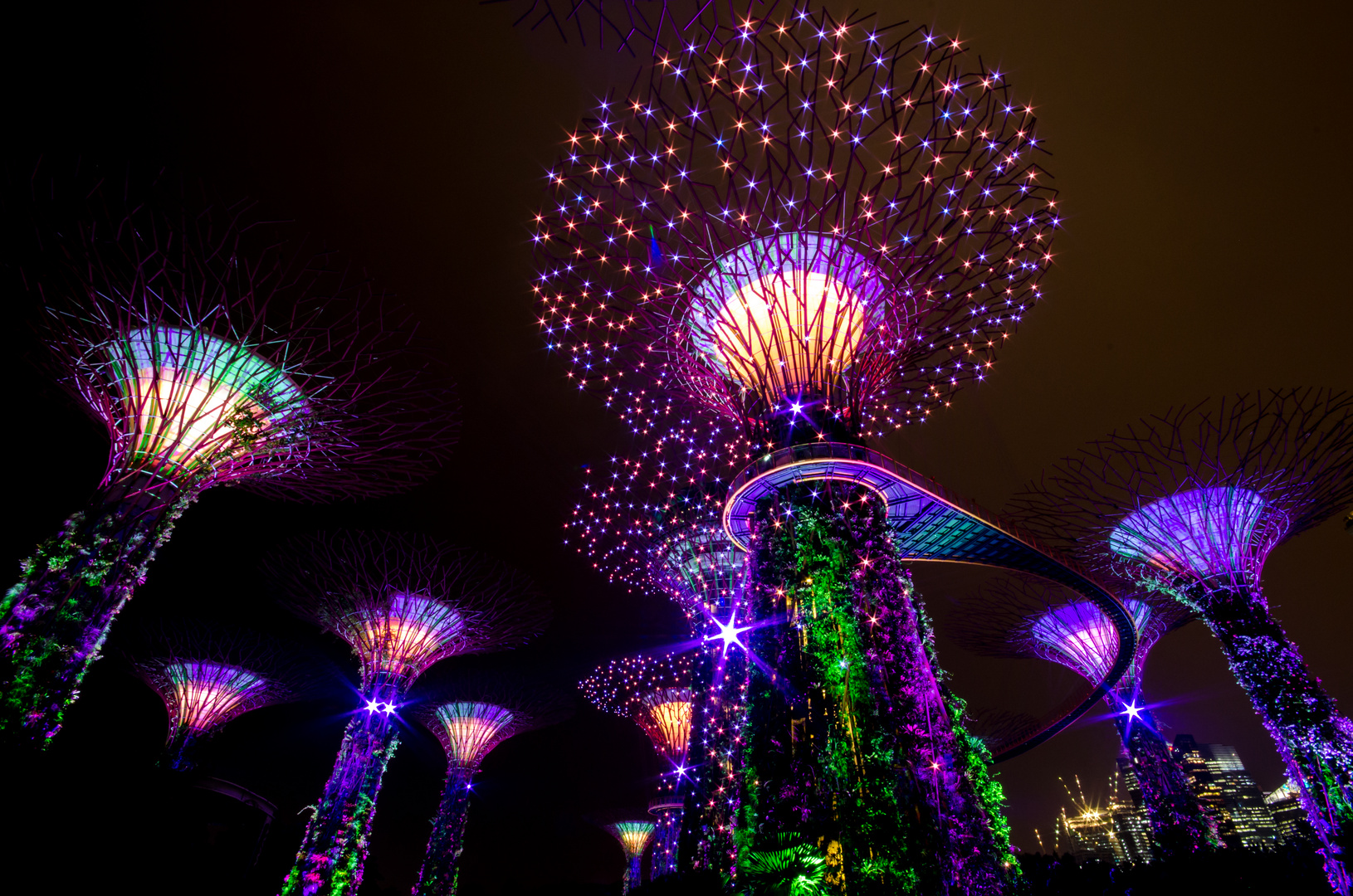 Singapur@Night - Supertrees