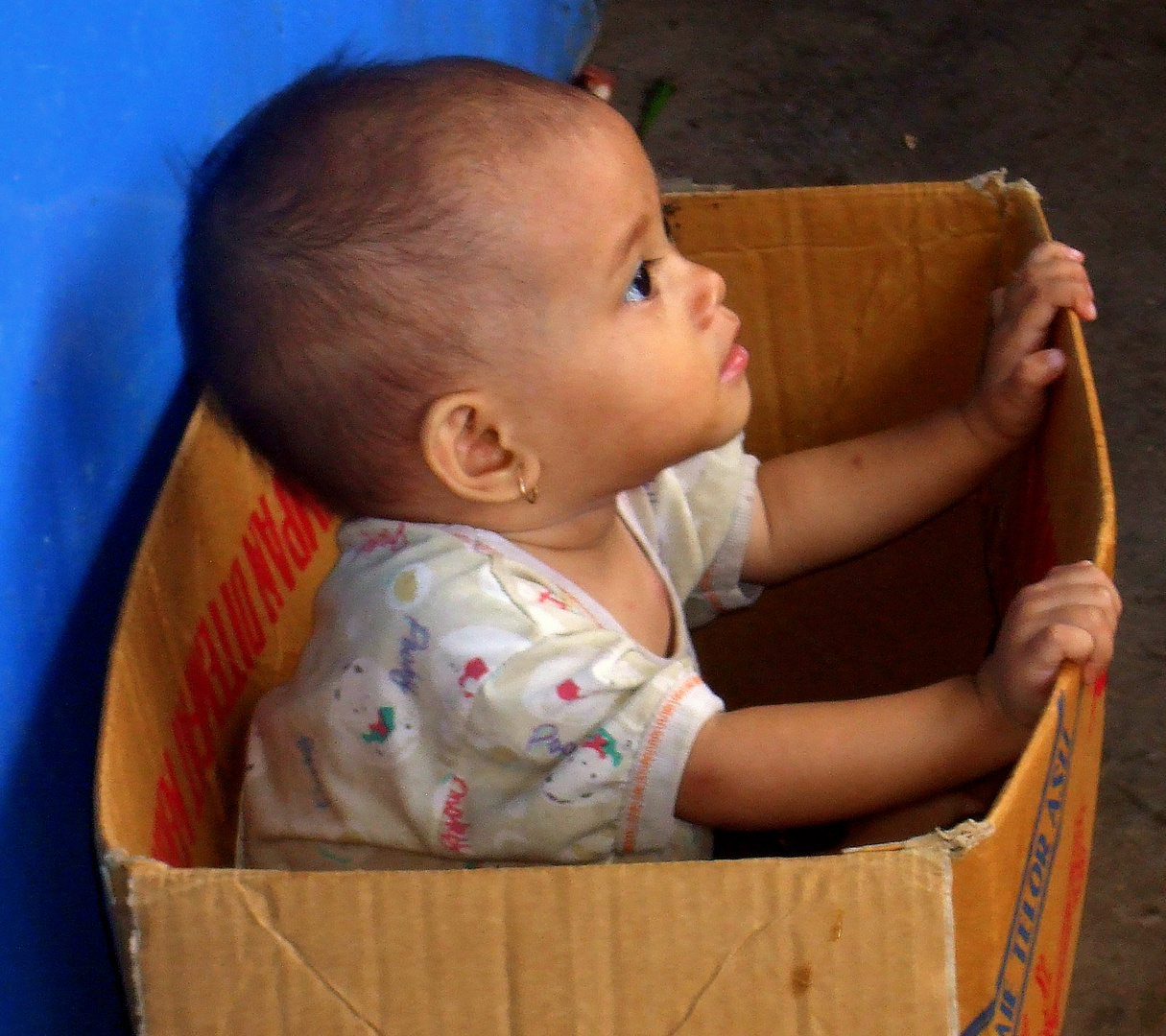 Singaraja-Market-Bali, Sitting in the box