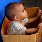 Singaraja-Market-Bali, Sitting in the box