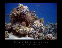Single Dive Obsession