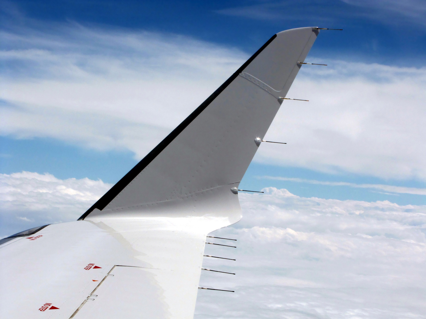 single winglet