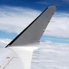 single winglet