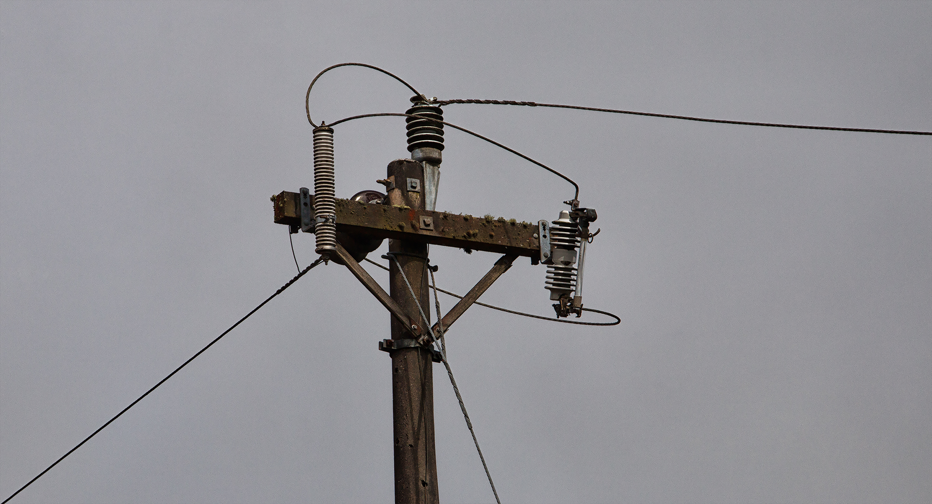 SingleWire Earth Return... Foto & Bild industrie und technik