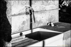Sink - Divertissement #3
