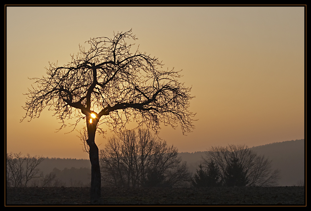 Sinkende Sonne über dem Steigerwald