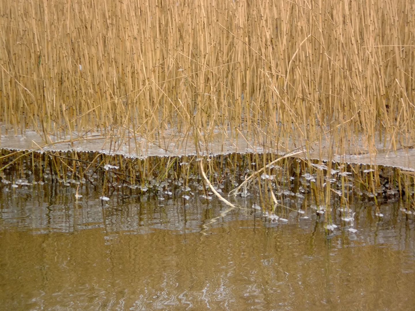 Sinkender Wasserstand