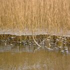 Sinkender Wasserstand