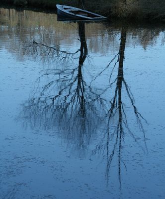 Sinkendes Boot unter dem Baum?