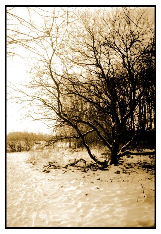 sinnbefreite Winterdarstellung als Gesamtkonzept moderner Fotografie