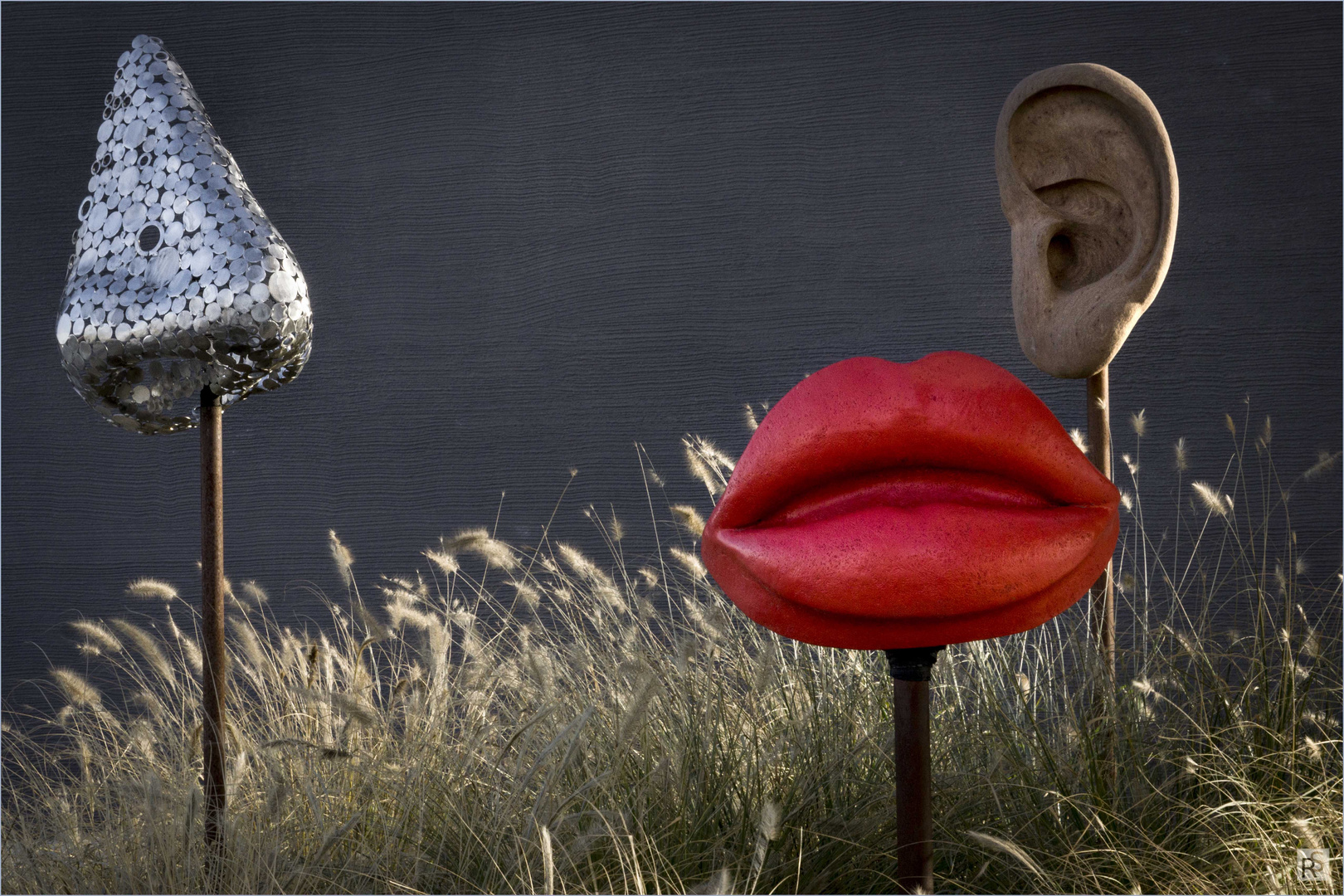 SinneSinnbildsinnbildlich Foto & Bild outdoor, kunst, ohr Bilder