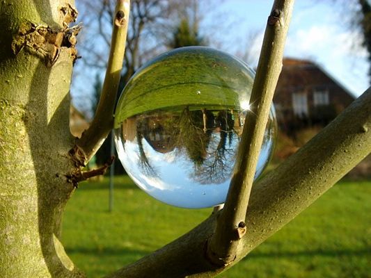 >>>(((sinnloses-glas-kugel-baum-furunkel-foddo!!!