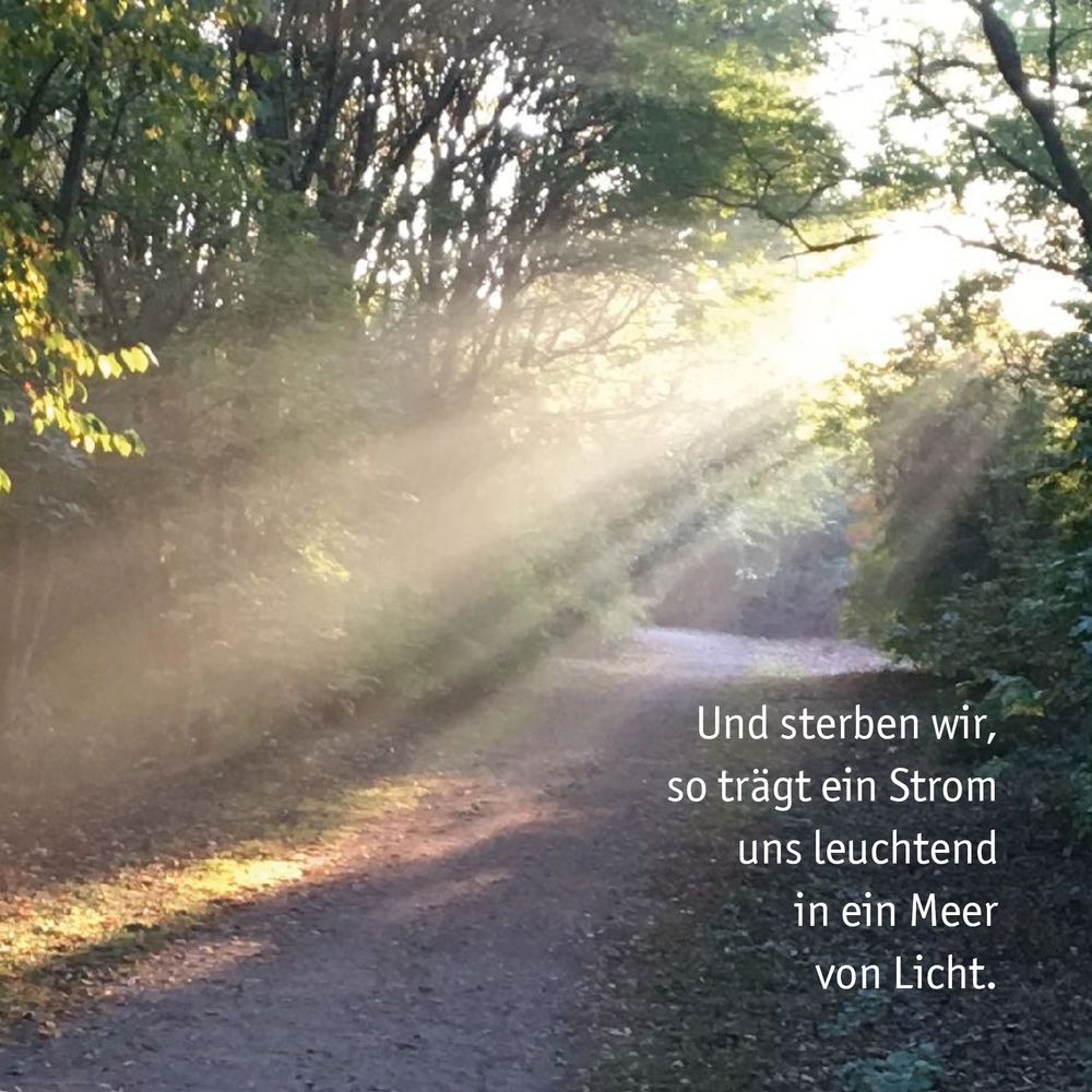 Sinnspruch 47 Foto & Bild trauerkarten, trauer, hell Bilder auf