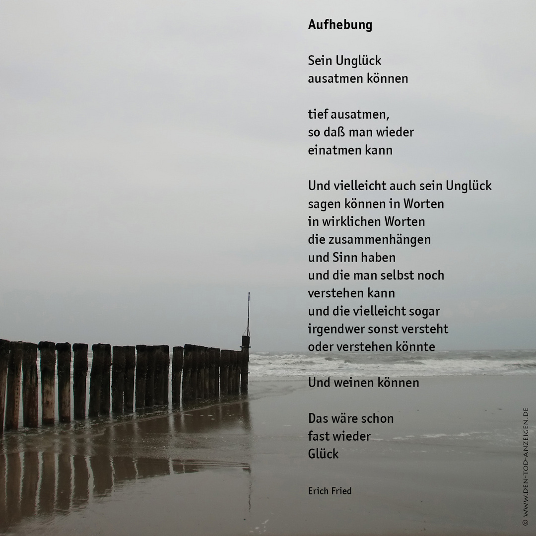 Sinnspruch Glück Sinnspruch Glück