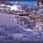 Sinter Terassen bei Mammoth Hot Springs