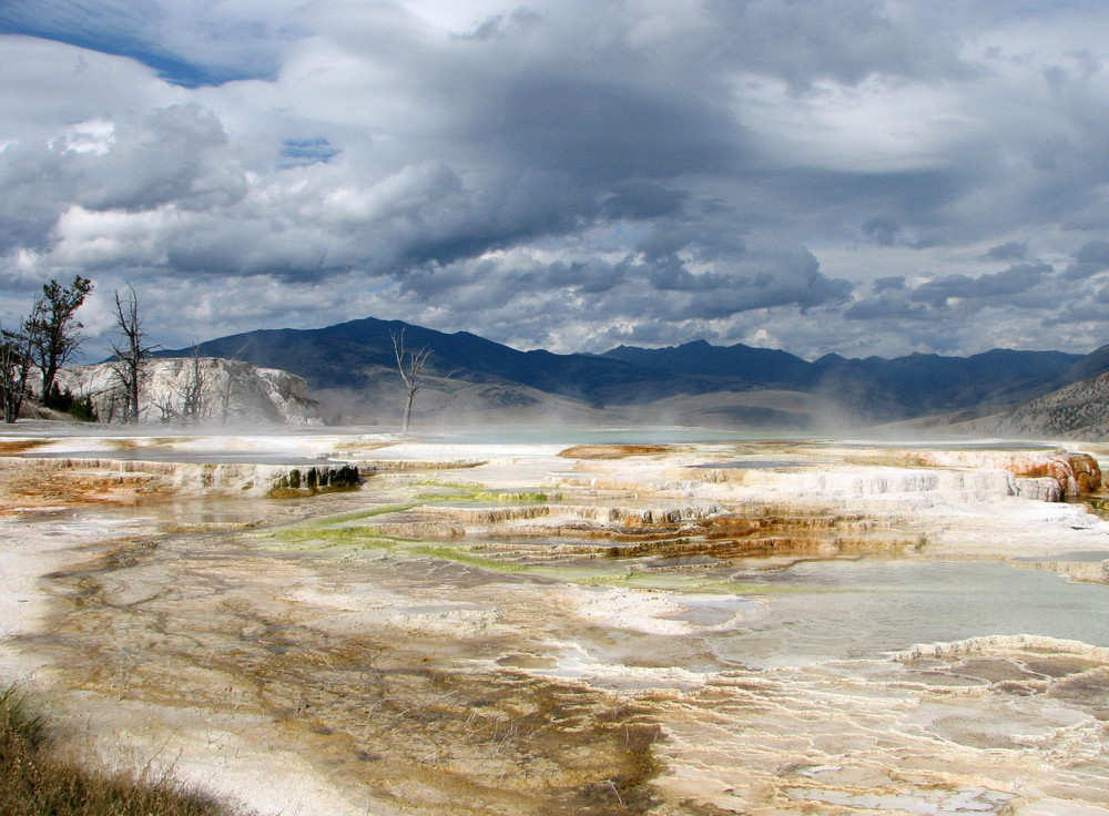 Sinter-Terrassen bei Mammoth Hot Springs - Yellowstone