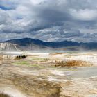 Sinter-Terrassen bei Mammoth Hot Springs - Yellowstone