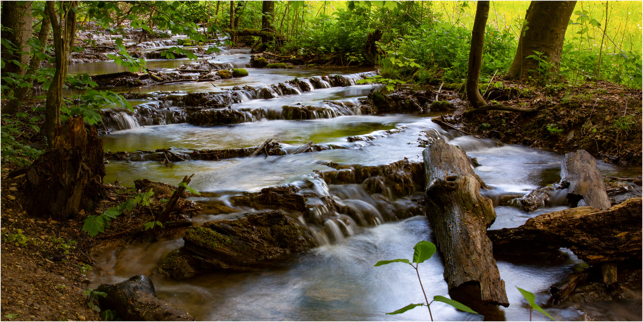 Sinterterrassen an der Weißen Lauter