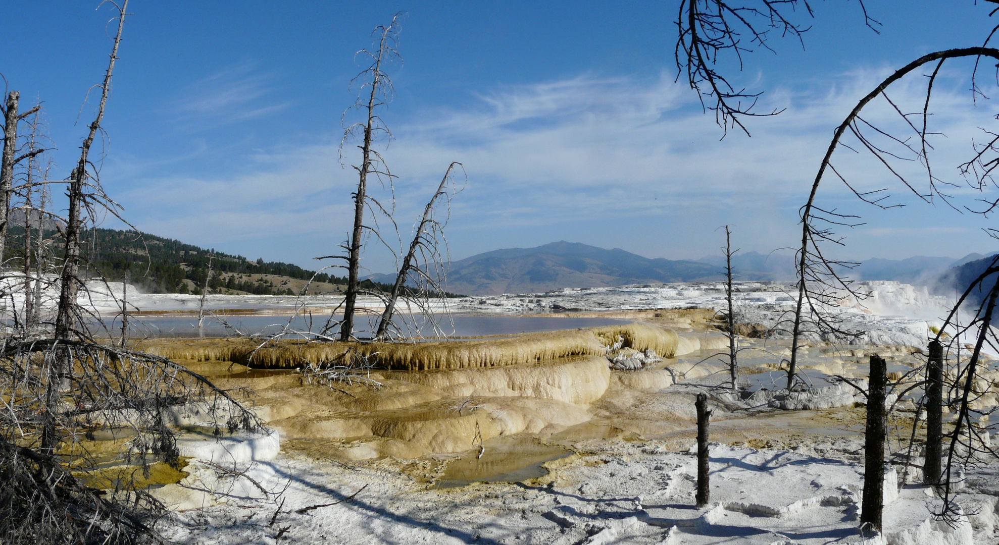 Sinterterrassen bei Mammoth Hot Spring