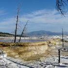 Sinterterrassen bei Mammoth Hot Spring