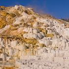 Sinterterrassen bei Mammoth Hot Springs (Palette Spring)