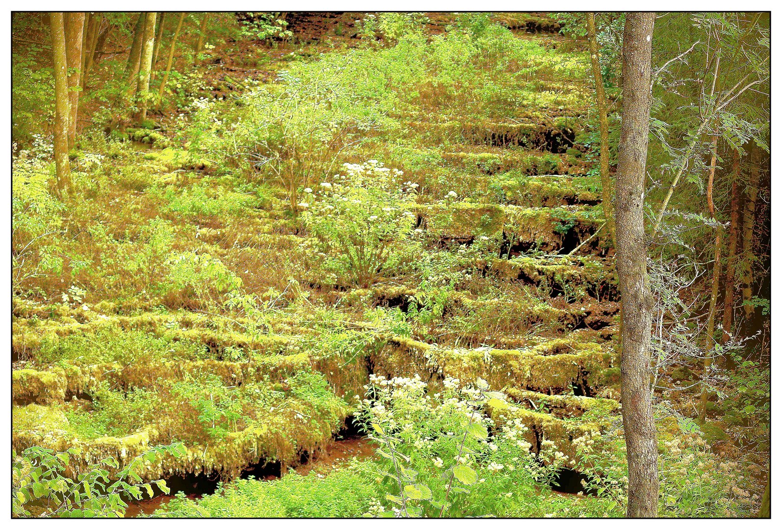 Sinterterrassen im Lillachtal