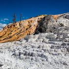 Sinterterrassen im Yellowstone NP