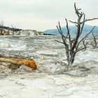 Sinterterrassen von Mammoth Hot Springs