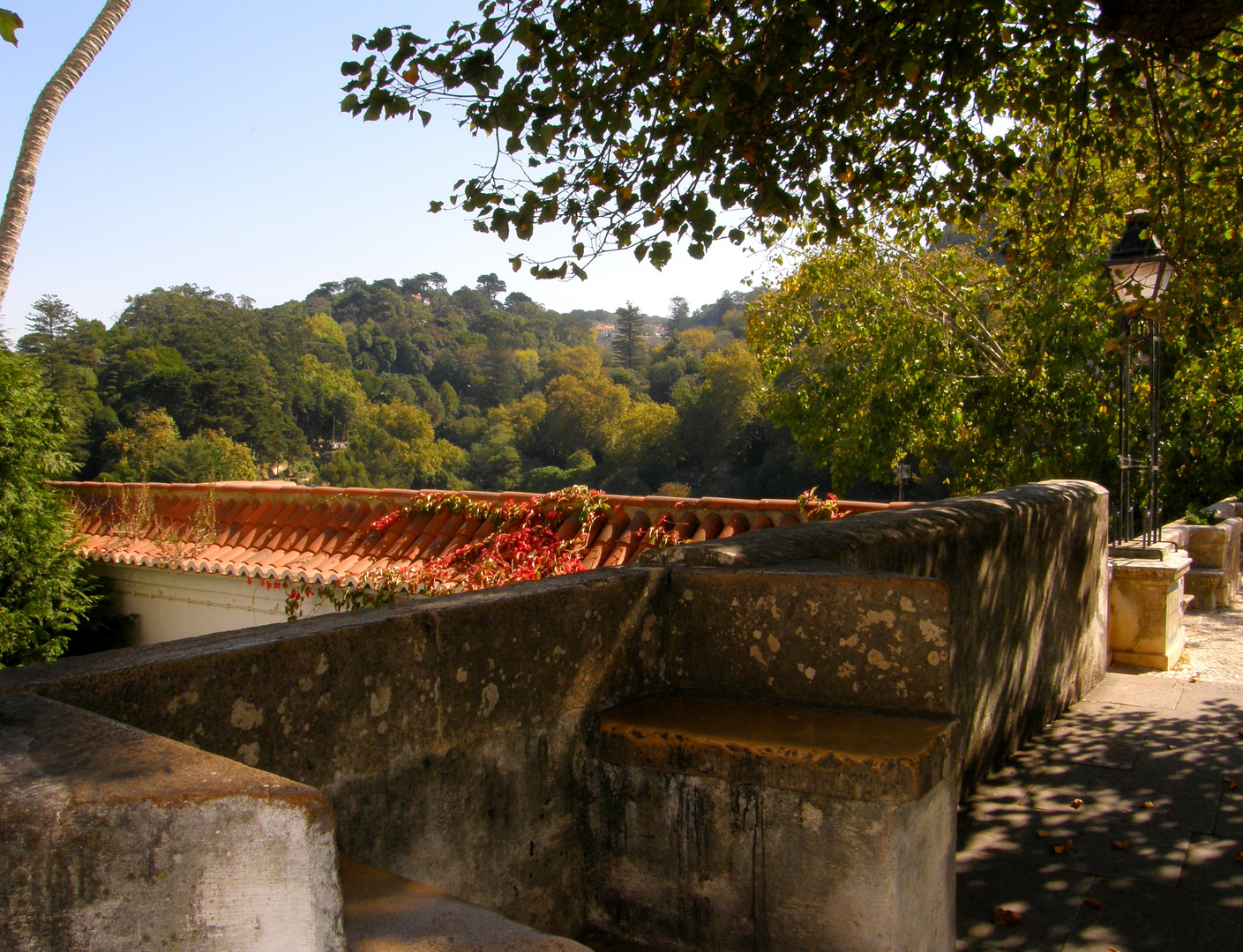 Sintra. A la sombra.