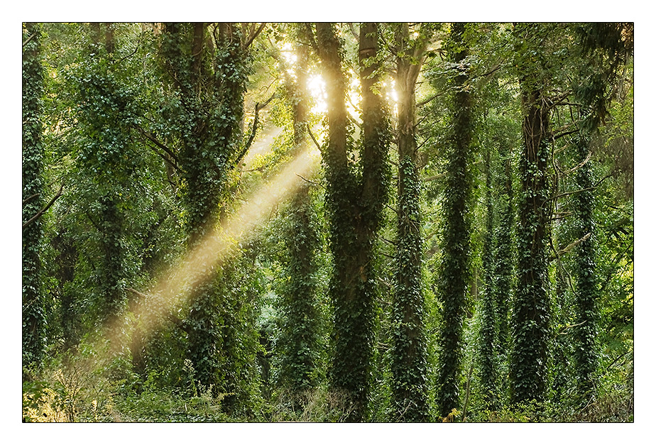 Sintra Mountains