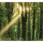 Sintra Mountains