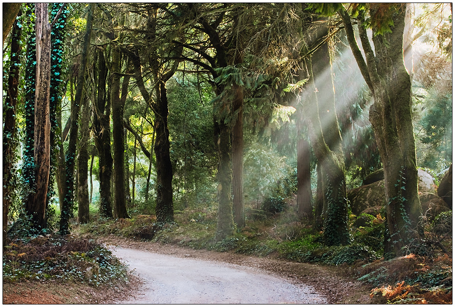 Sintra Mountains II