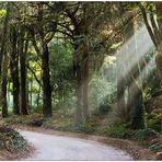 Sintra Mountains II