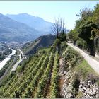 Sion: Bisse de Clavau (1)