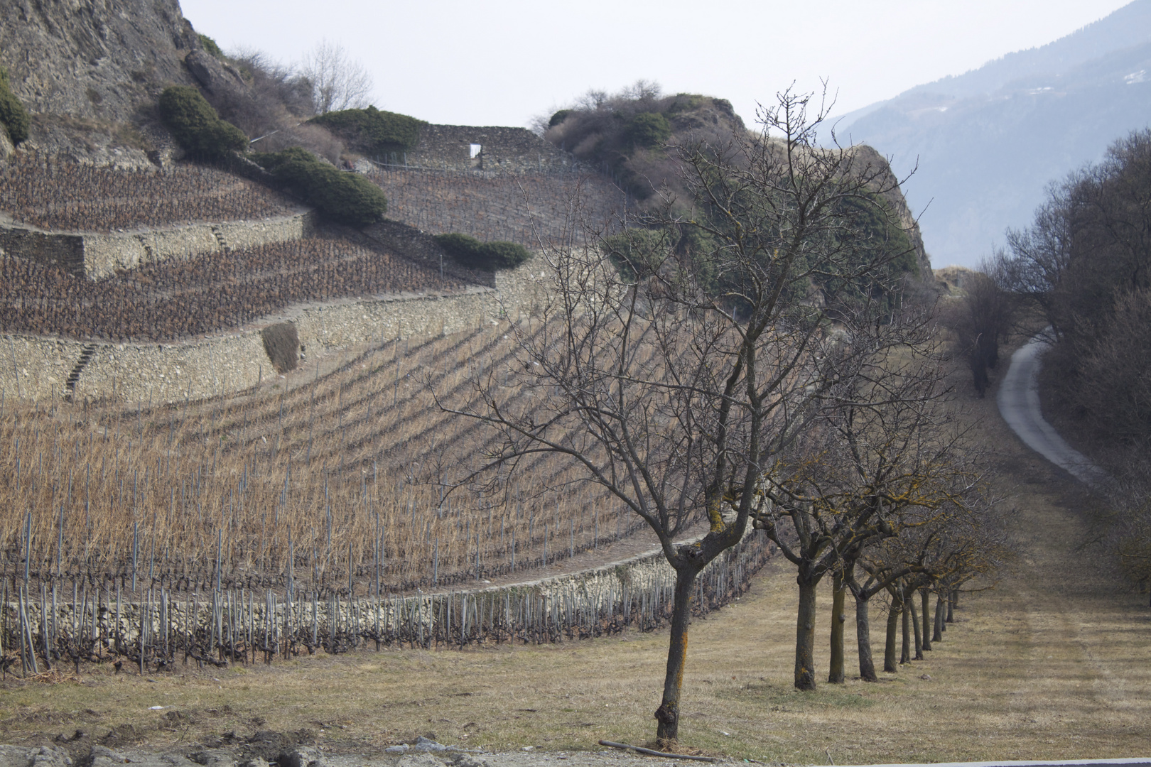 SION Le jardin du Château