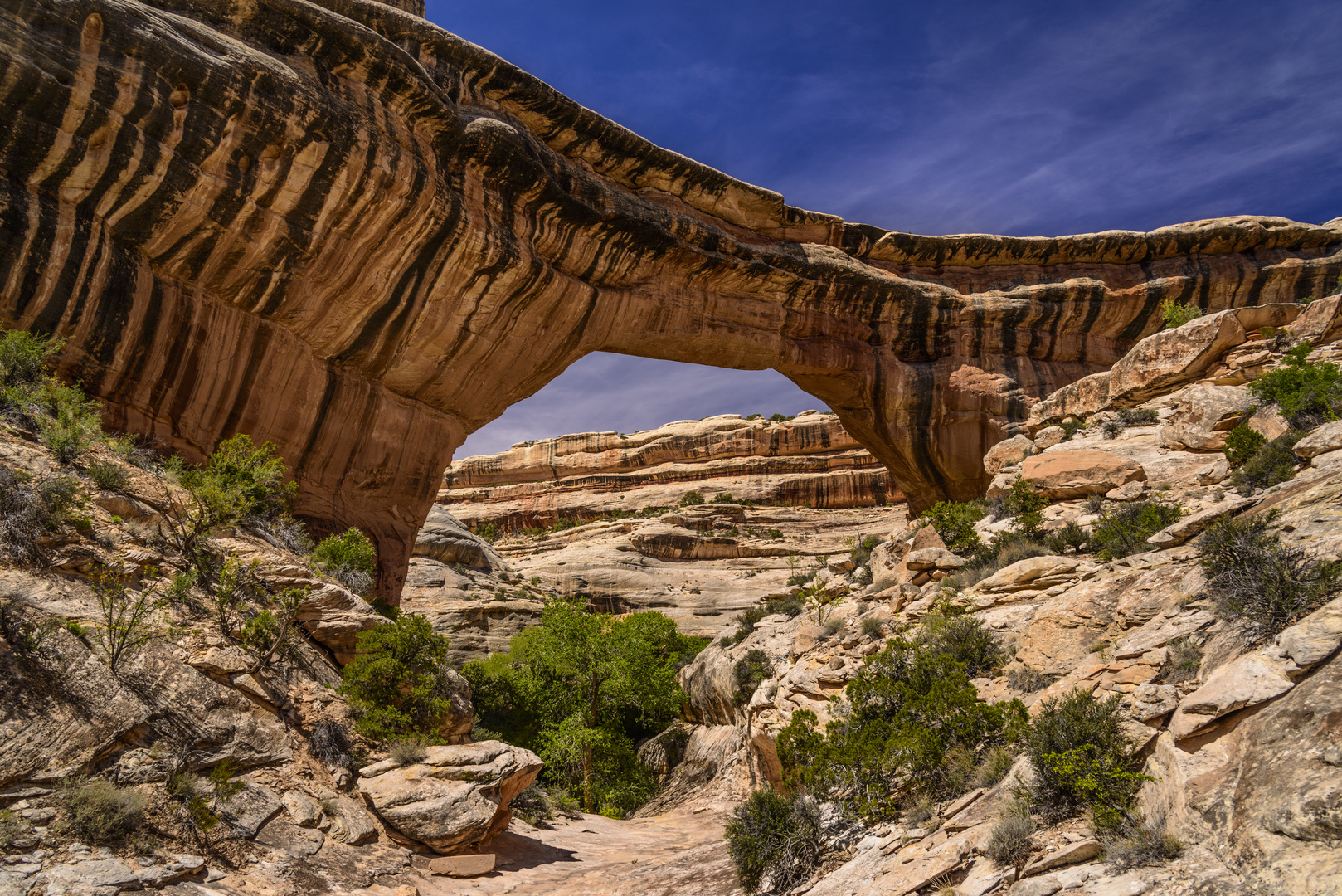 Sipapu Bridge 1, Natural Bridges NM, Utah, USA