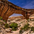 Sipapu Bridge 1, Natural Bridges NM, Utah, USA