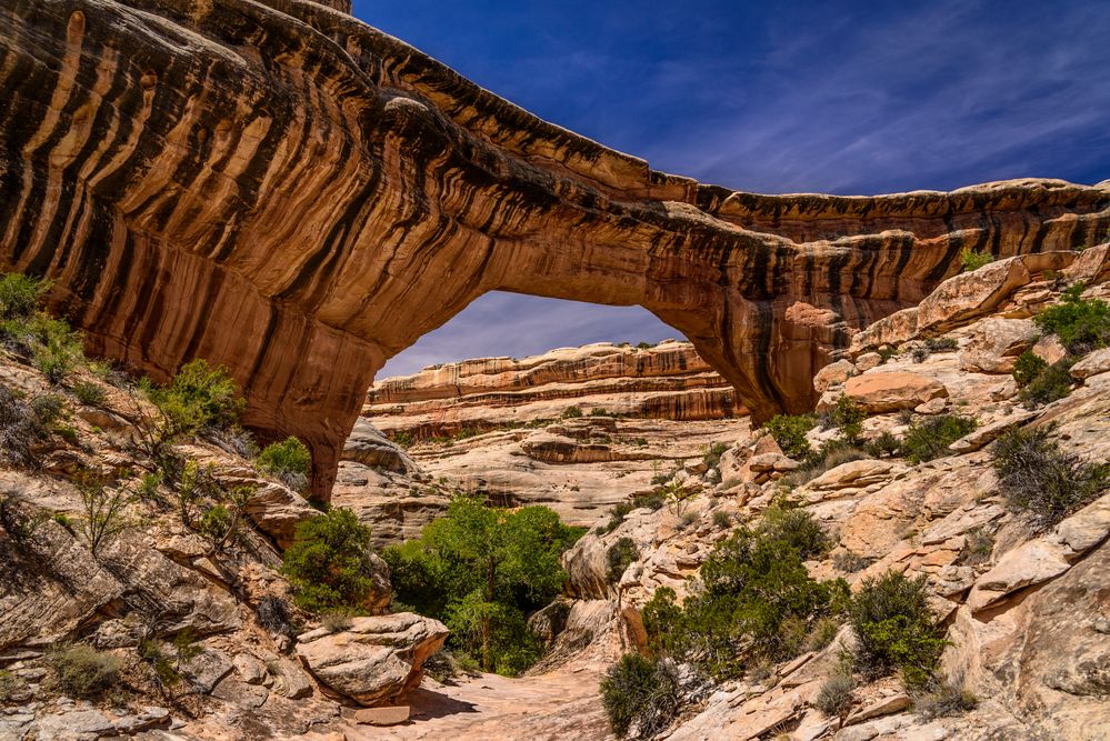 Sipapu Bridge 1, Natural Bridges NM, Utah, USA