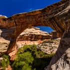 Sipapu Bridge 2, Natural Bridges NM, Utah, USA