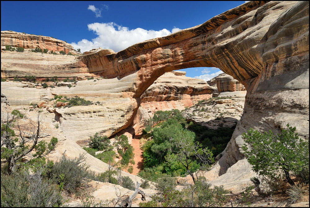 [ Sipapu Bridge - Natural Bridges NM ]