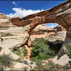 [ Sipapu Bridge - Natural Bridges NM ]