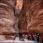 Siq- canalone d'ingresso a Petra