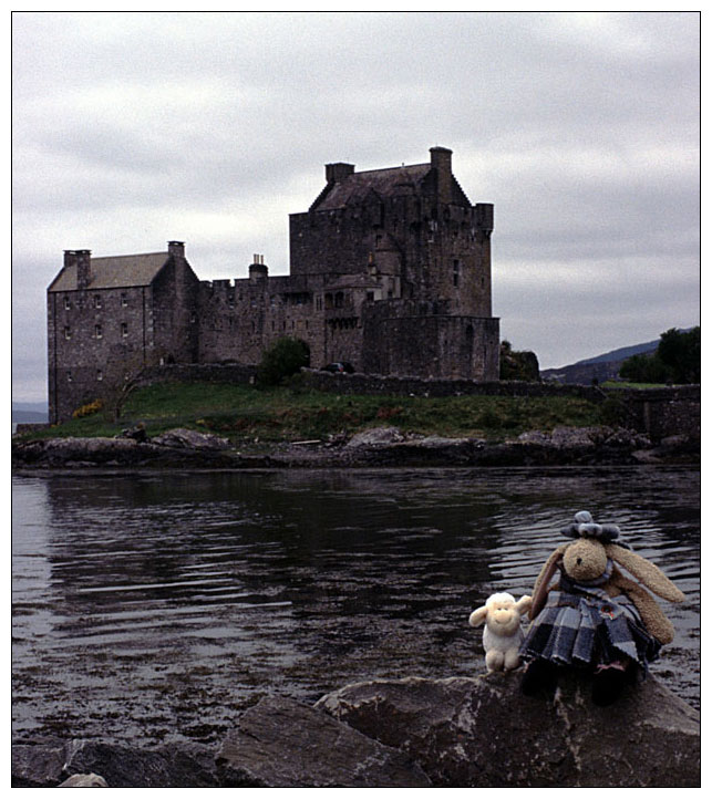 Sir Brave in front of his home castle