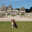 Sir Hamlet vor seinem Schloss