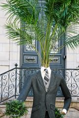 Sir Palm 
